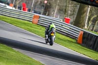 Oulton-Park-21st-March-2020;PJ-Motorsport-Photography-2020;anglesey;brands-hatch;cadwell-park;croft;donington-park;enduro-digital-images;event-digital-images;eventdigitalimages;mallory;no-limits;oulton-park;peter-wileman-photography;racing-digital-images;silverstone;snetterton;trackday-digital-images;trackday-photos;vmcc-banbury-run;welsh-2-day-enduro